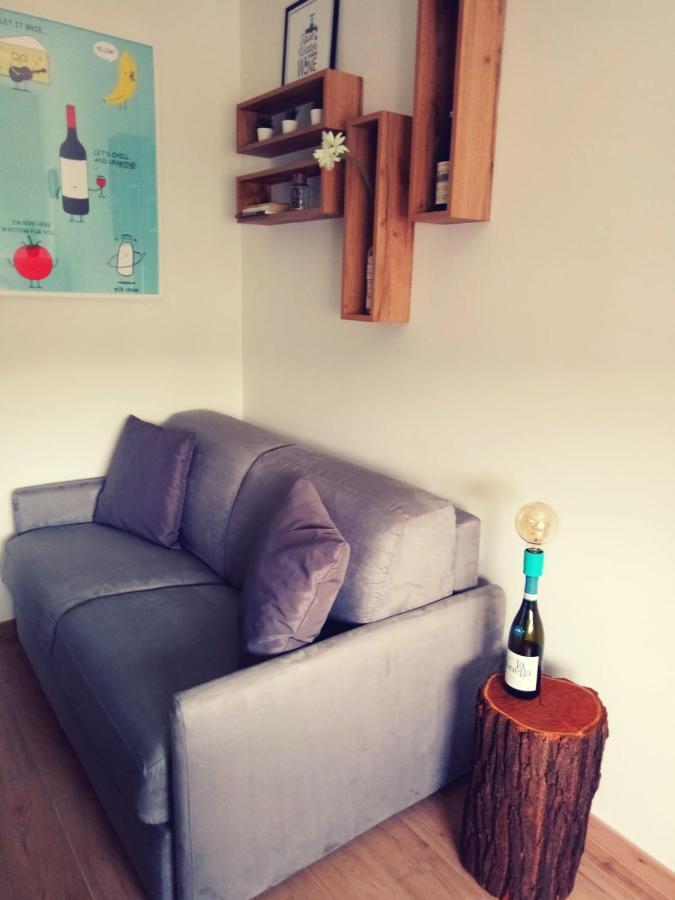 Vinhome Bilocale Con Garage Privato Alba Centro エクステリア 写真
